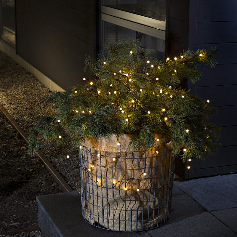 Berry String Lighting, Warm white