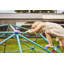 Plum Play Phobos Metal Dome Climbing Frame