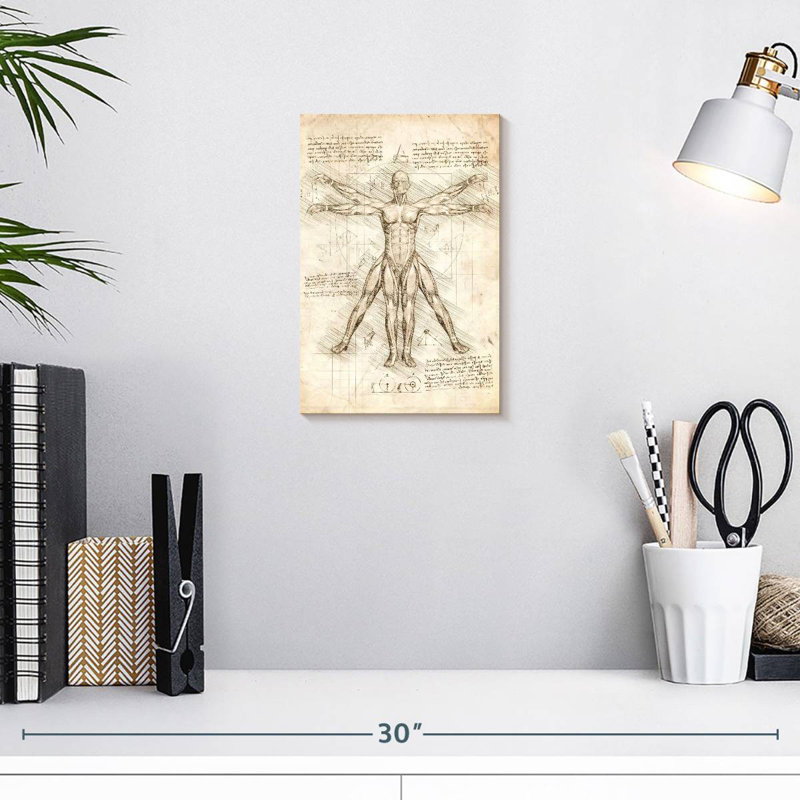 Keiri Vitruvian Man, 12" H x 8" W