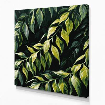 Art mural sur toile Botanical Philodendron