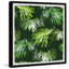 Leafy Plants - Single Picture Frame Painting-1366443343