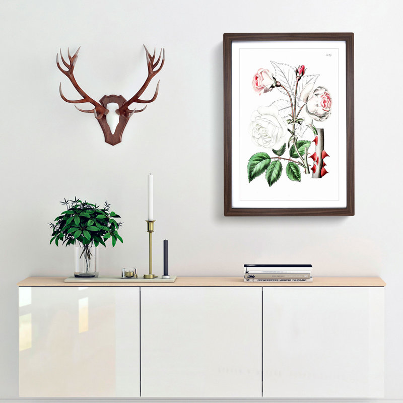 Pink Beach Rose - Framed Print, Walnut Framed, 48cm H x 36cm W x 2cm D