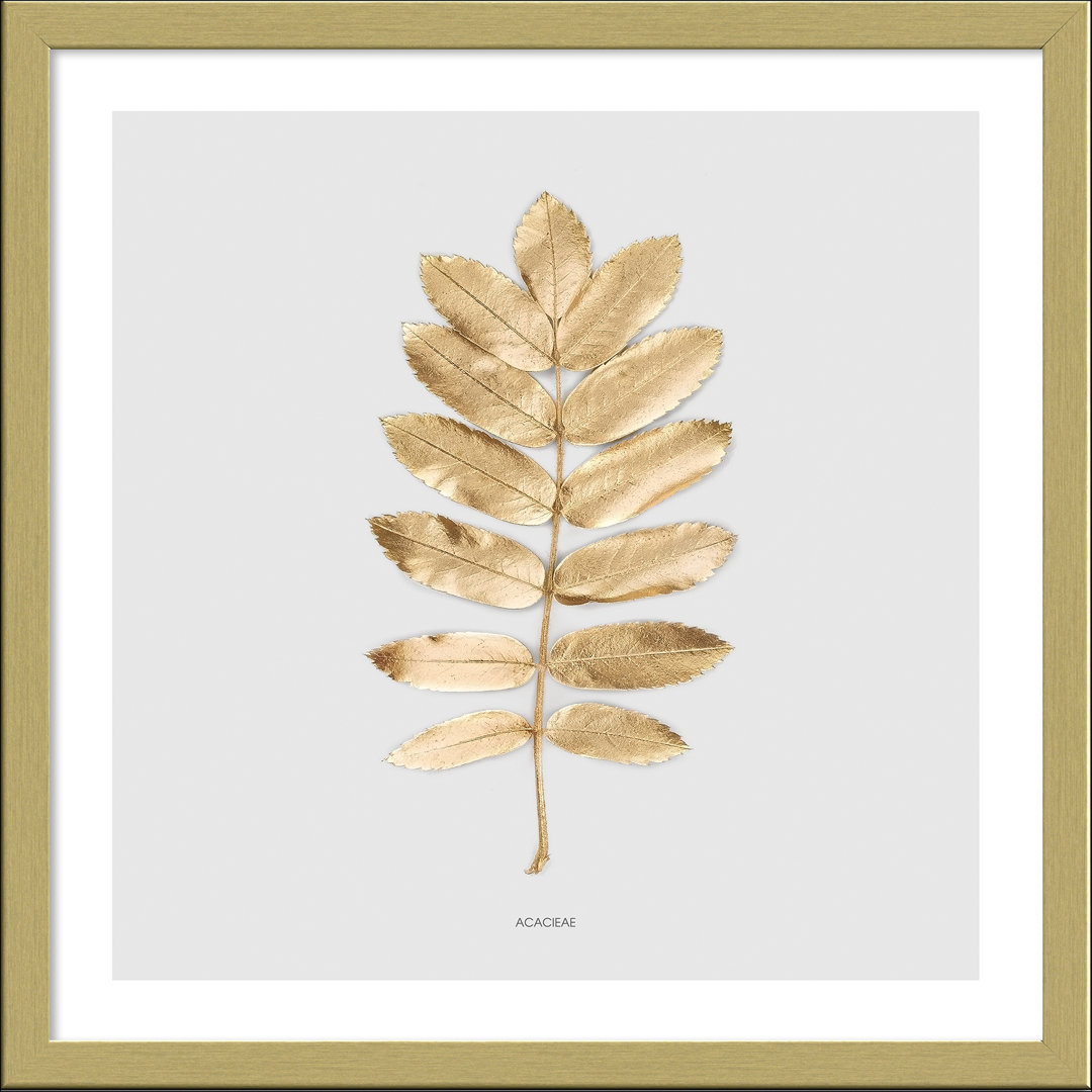 Golden Leaf II