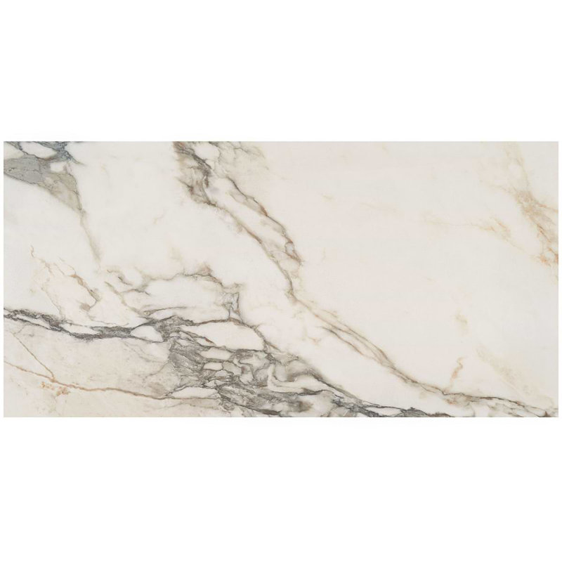 Dreamstone 24X48 Polished Porcelain Tile, Calacatta Rustico Polished