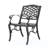 PHOENIX ARM CHAIR(Set Of 2)-910959301