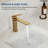Single Hole Bathroom Faucet with Drain Assembly, Single Handle Bathroom Sink Faucet-124954710