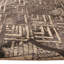 Brown Nu Vibrant Transitional Tibetan Silk Rug - 10' x 14'2"