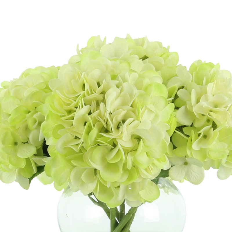 Hydrangea Arrangement in Vase, Lime Green
