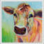 Brody - Peinture-400138057-400138061