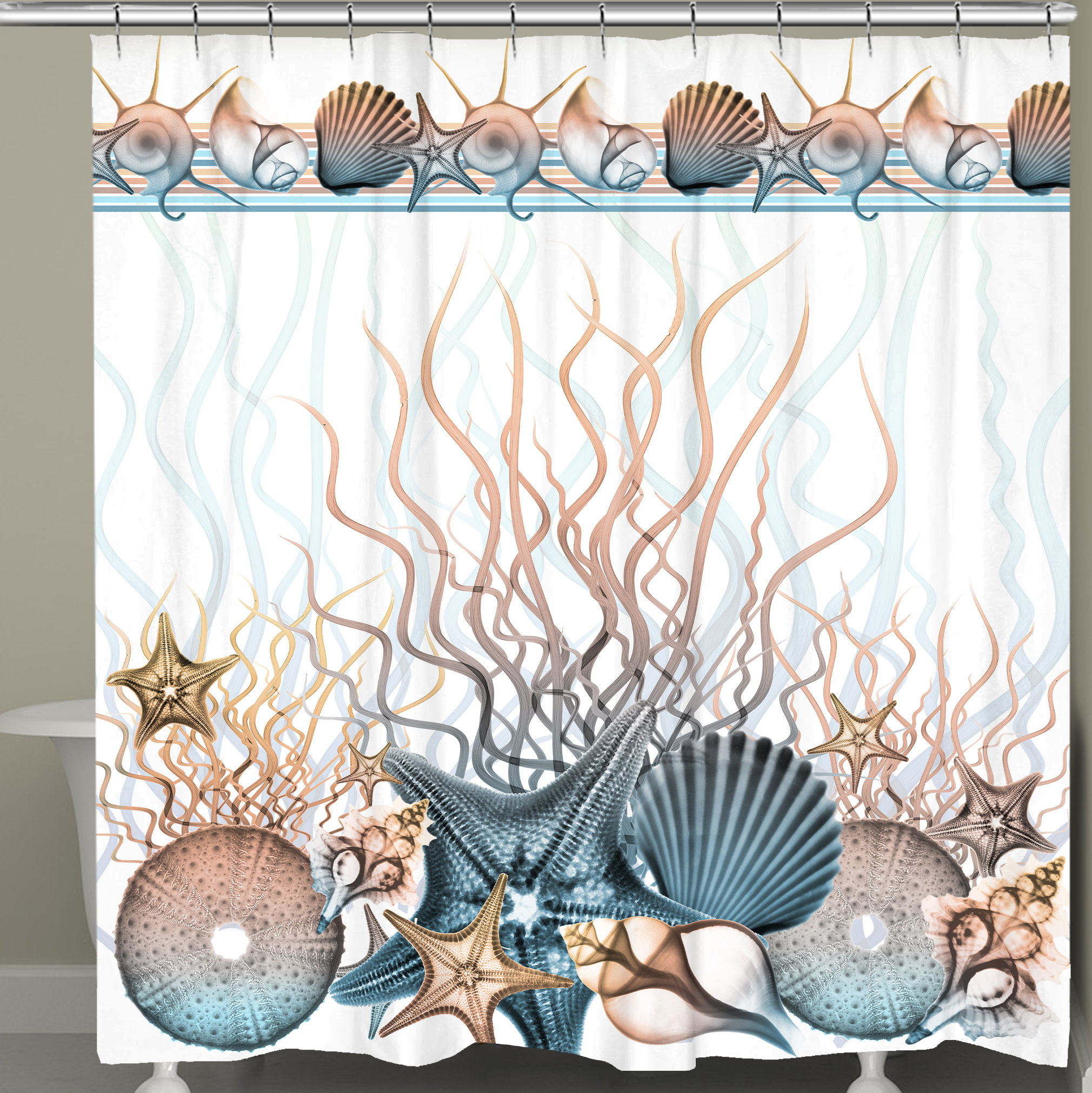 Rosecliff Heights Wilhoite Sunset Seashells Shower Curtain | Wayfair
