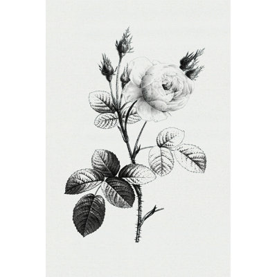 «Vintage Roetching», impression sur toile tendue