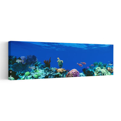 Underwater, Caribbean Sea Colorful Fish Ocean Tropical Wall Art