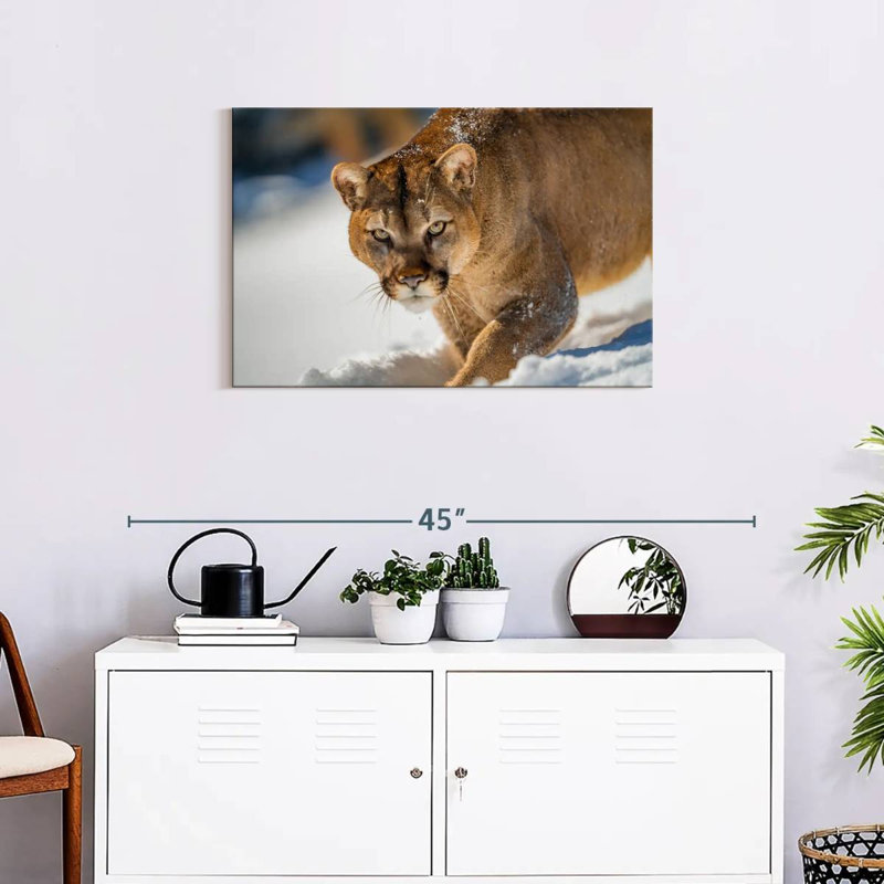Brampt Cougar In Snow, 20" H x 30" W