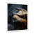 White Single Picture Framed