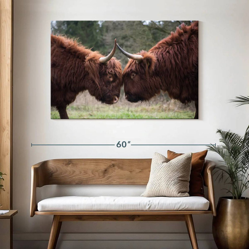 Brampt Highland Cow Clash, 32" H x 48" W