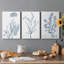 Antique Botanical in Blue V - Ensemble de 3 peintures sur toile tendue-1212726441