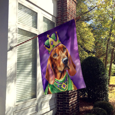 Drapeau de maison de Mardi Gras en polyester double face H 28 po x l 40 po