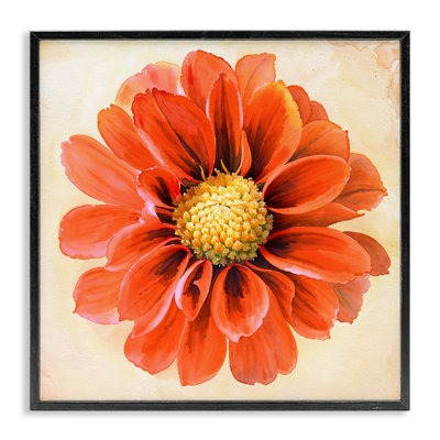 Orange Dahlia Bloom Framed Giclee Art by Christine Zalewski