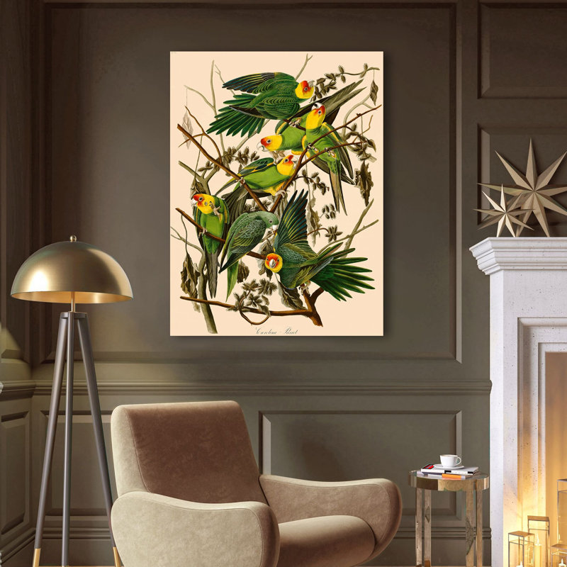 Carolina Parrot by James Audubon - 1 Piece Wrapped Canvas Painting, 100cm H x 70cm W x 4cm D