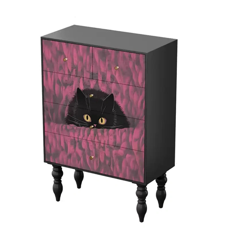 Modern  Five Drawer Storage Accent Chest