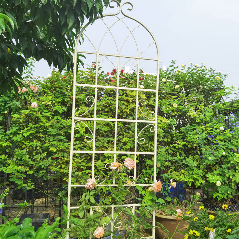 Ensemble de 2 treillis de jardin en métal 86,7 po x 19,7 po, antirouille blanc crème, supportant les plantes grimpantes telles que Morning Glory, jasmin, pois, rose facile à assembler, raisin, concombre