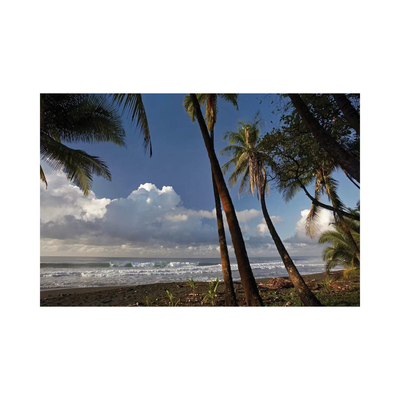 Palm Trees On The Beach Near Marino Ballena National Park, Costa Rica by Tim Fitzharris - Gallery-Wrapped Canvas Giclée on Canvas