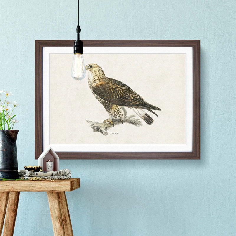 Rough-Legged Hawk by Von Wright - Picture Frame Graphic Art Print, Walnut, 40cm H x 60cm W x 2cm D