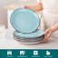 Blue Dinner Plates  -620140301