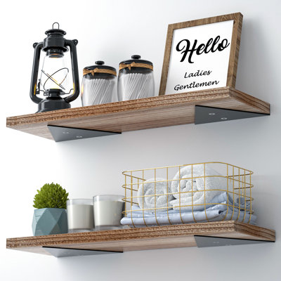 Mikeshia 2 Piece Floating Shelf
