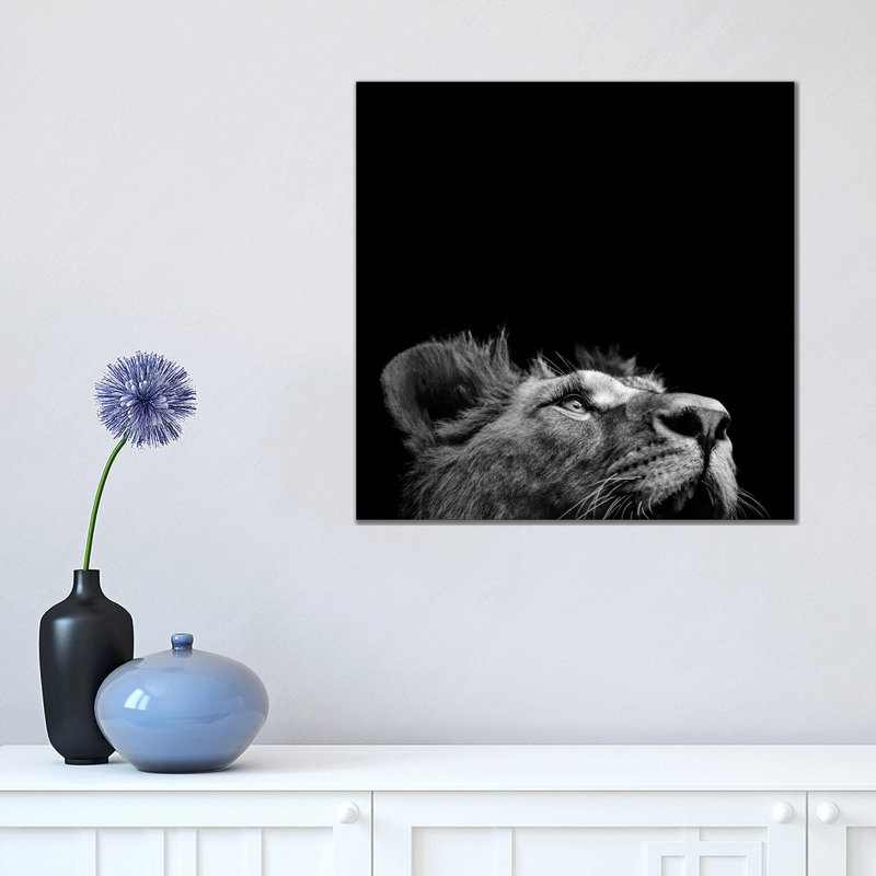 Lion In Black & White II by Lukas Holas - Wrapped Canvas Print, 45.72 cm H x 45.72 cm W