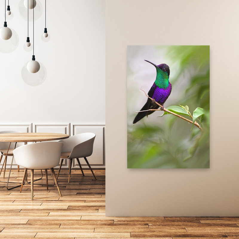 Purple Green Hummingbird Colorful Vibrant Abstract Hummingbird Bird Nature Tropical Wall Art Print by Jimmy Hoffman - Print