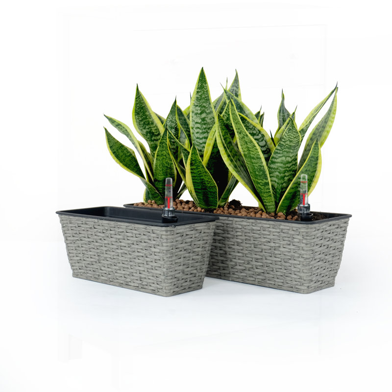 2-Pack Smart Self-watering Rectangle Planter for Indoor and Outdoor - Hand Woven Wicker - Gray, Gray