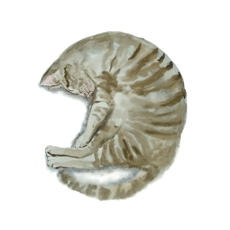 Sleeping Tabby Cat III by Alexey Dmitrievich Shmyrov - Wrapped Canvas Gallery-Wrapped Canvas Giclée