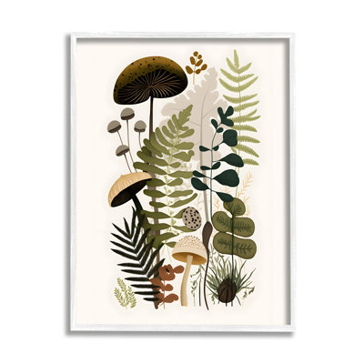 «Mixed Earthy Botanicals», impression sur bois encadrée sur bois