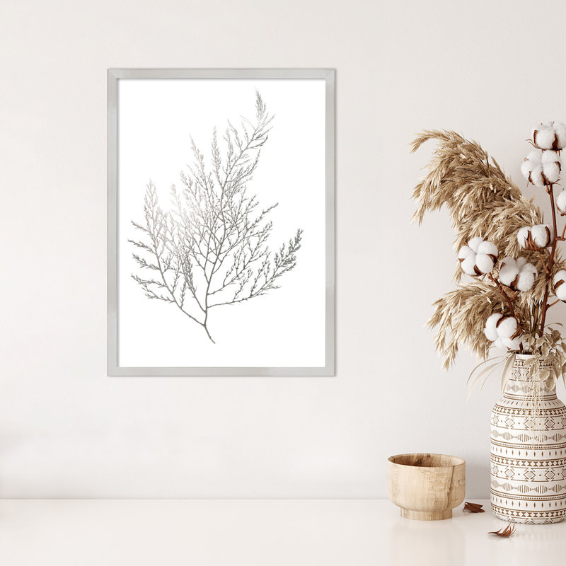 «Gray Algae II» par Jennifer Goldberger, reproduction d'art encadrée sur bois, H 25 po x l 19 po