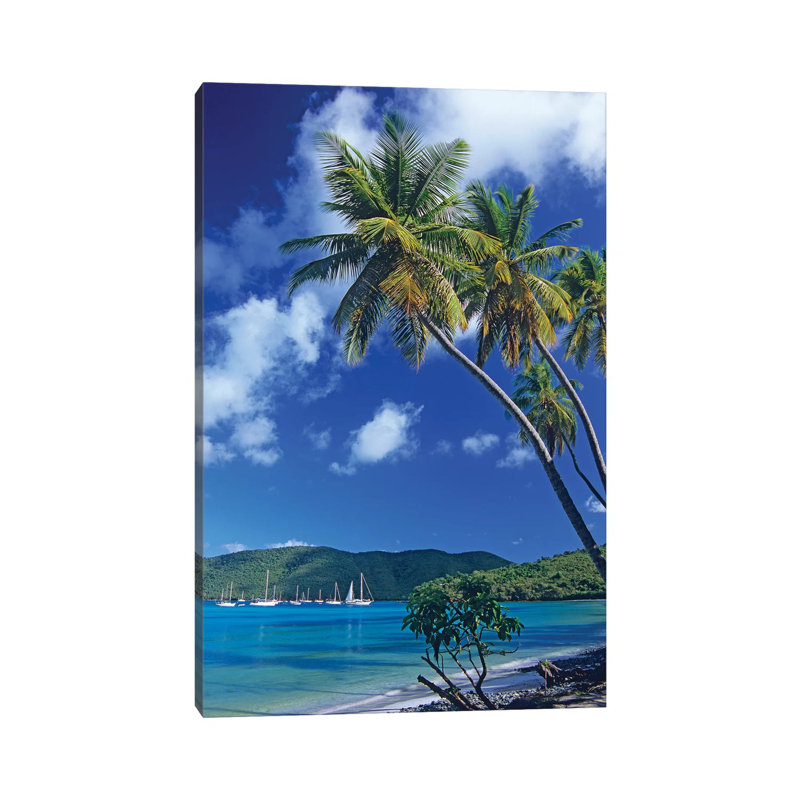 Palm Trees at Maho Bay, Virgin Islands 1 Piece Wall Art on Canvas, 20.32 cm H x 30.48 cm W, Wrapped Canvas