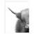 Cadre blanc n'est pas disponible