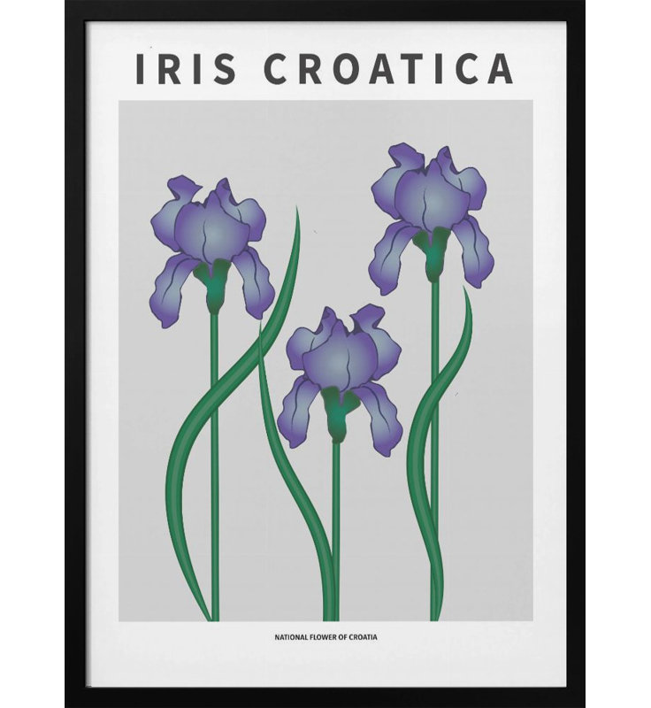 "Iris croate", art mural texturé encadré, Noir, H 24 po x l 18 po