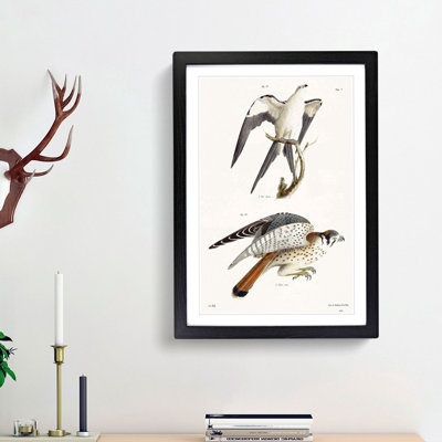 Two Hawks by J.E. De Kay - Framed Print