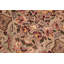 Pangburn Wool Floral Indoor Rug