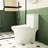 White Ceramic Comfort Height Toilet, 1.1/1.6 Flushing, One, Soft Close Seat, And Approved Ceramic, 15.55 In Height, White, &