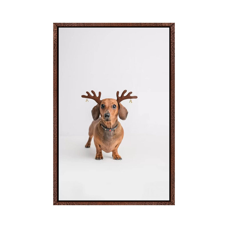 Frankie by Rachael Hale - Print on Canvas, 101.6 cm H x 66.04 cm W, Classic Brown Wood Framed