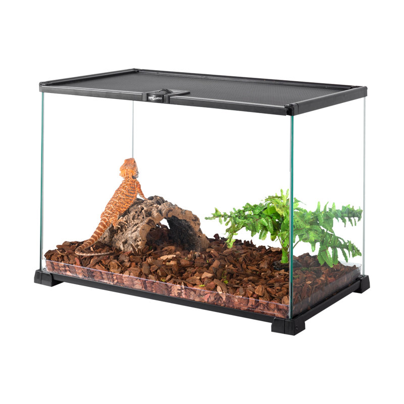 20'' x 12'' x 14'' Reptile Terrarium