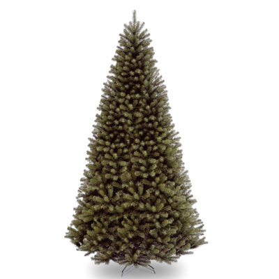 North Valley Spruce Tree