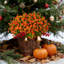 12 bouquets de fleurs d'eucalyptus artificiels - plantes simulées - orange grand teint