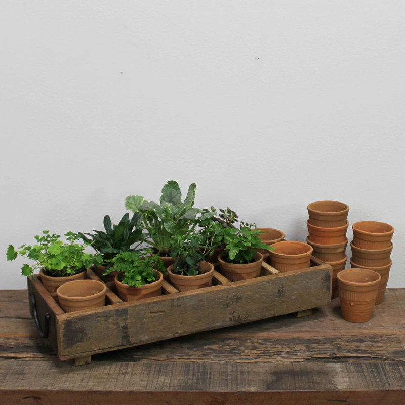 Adalea Pressed Terracotta Cup