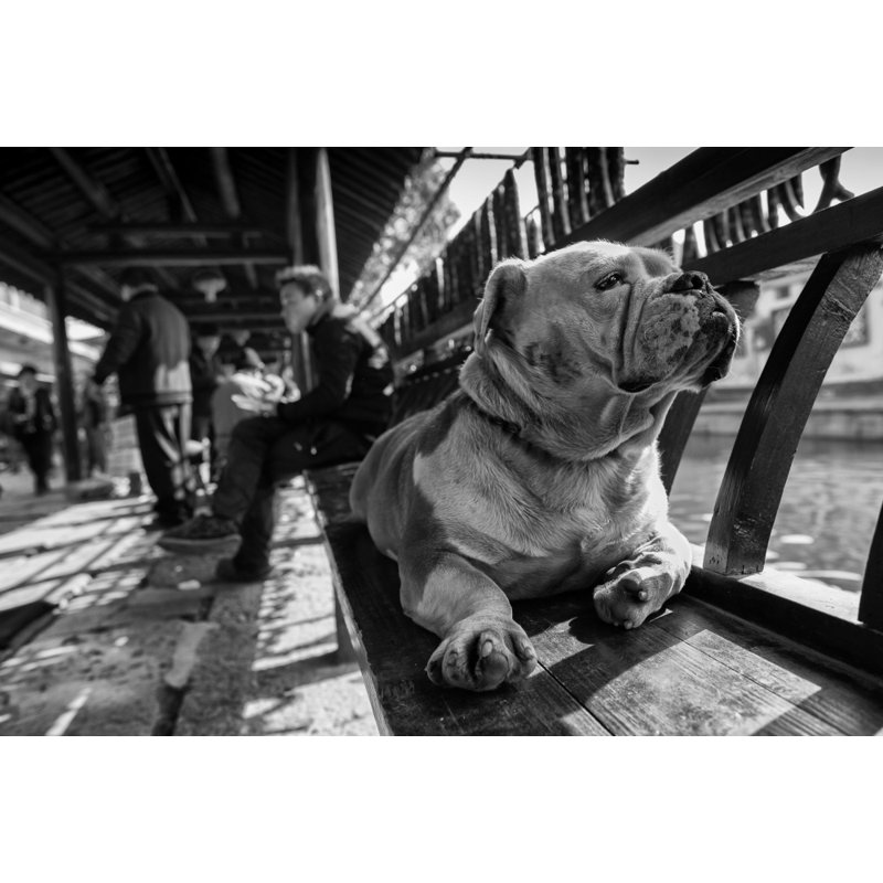 Wrapped Canvas Print, 76.2 cm H x 50.8 cm W
