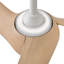 Ventilateur intelligent 56 "Hinkley Fan Tiburon
