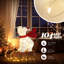  Décoration extérieure 2,8 pi