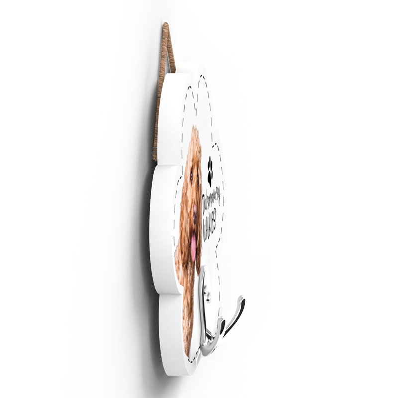 Hettinger Wall Wall Hook